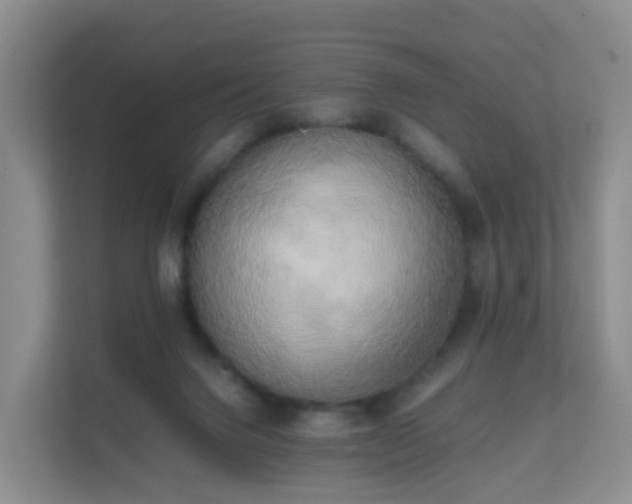 X0000111630072200907241059