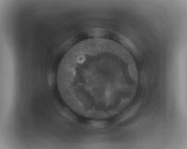 X0000111630073200907241059