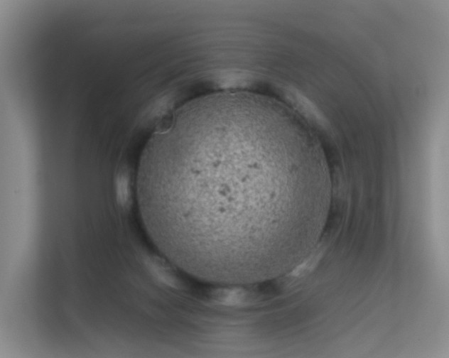 X0000111630074200907241059