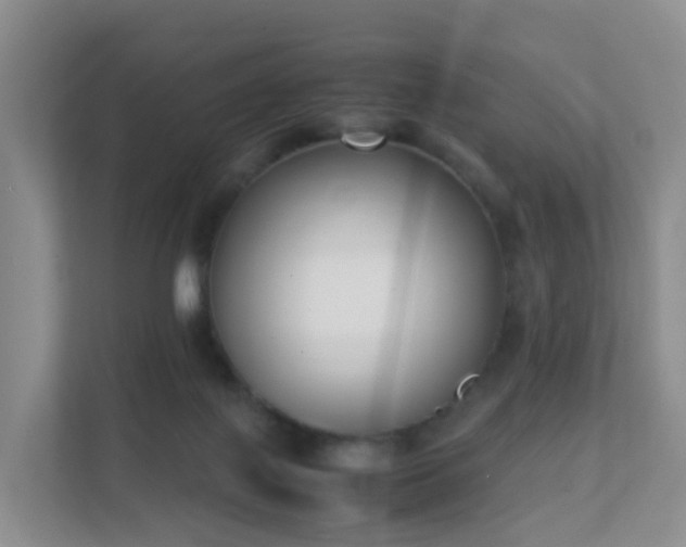 X0000111630075200907241059