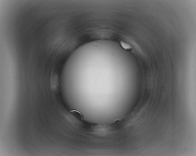 X0000111630077200907241059