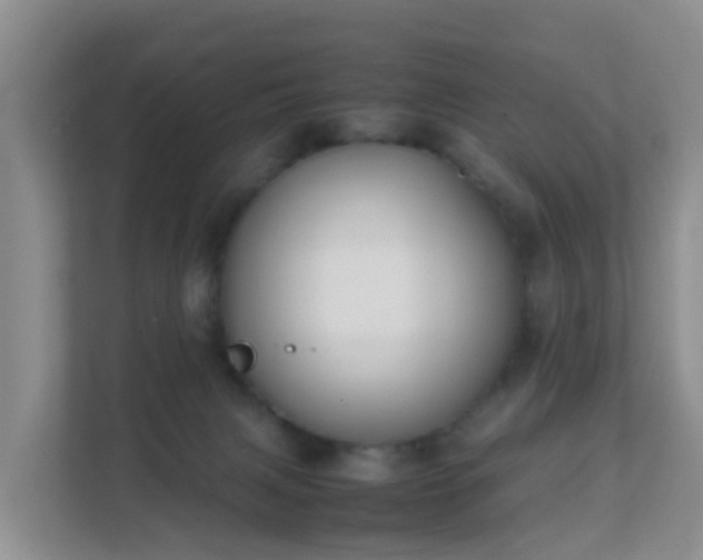 X0000111630079200907241059