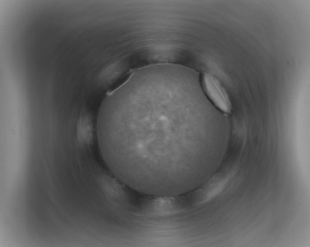 X0000111630080200907241059