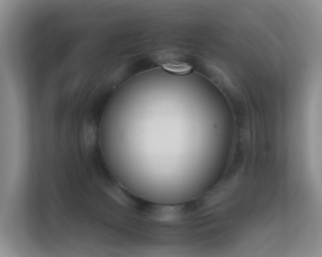 X0000111630081200907241059