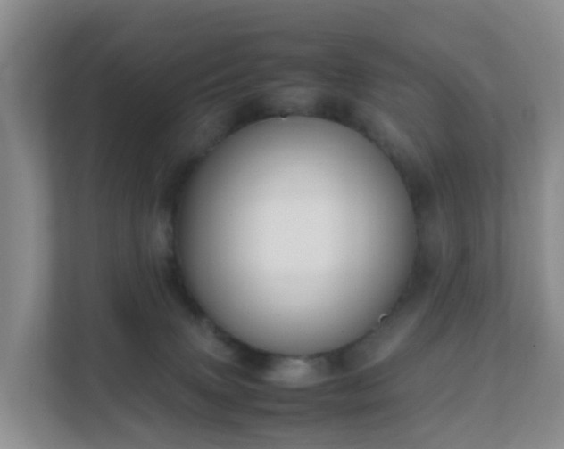 X0000111630083200907241059