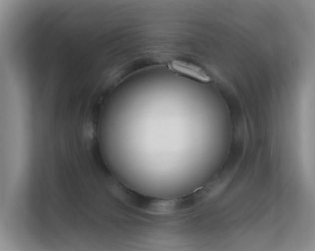 X0000111630084200907241059