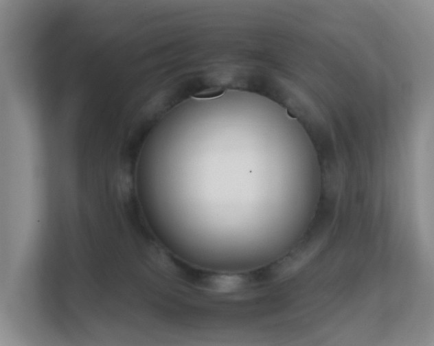 X0000111630085200907241059