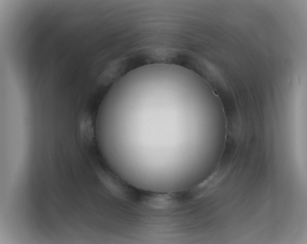 X0000111630086200907241059