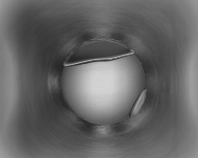 X0000111630088200907241059