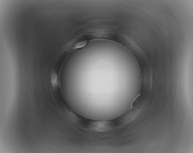 X0000111630089200907241059