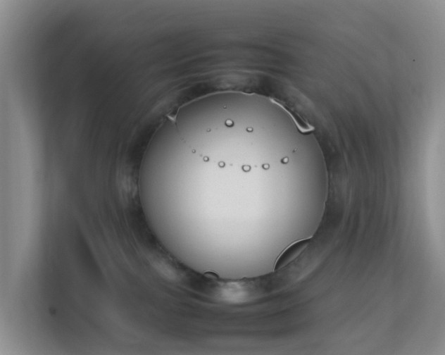 X0000111630091200907241059