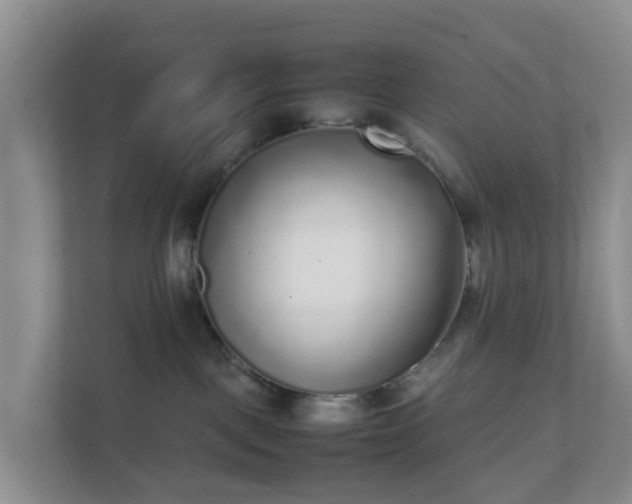 X0000111630093200907241059