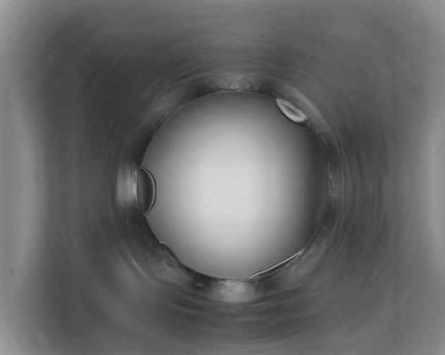 X0000111630095200907241059