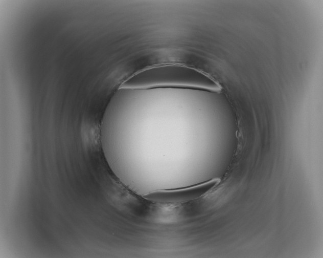 X0000111630096200907241059