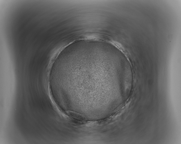 X0000111630097200907241058