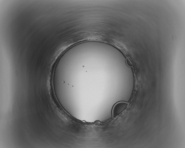 X0000111630098200907241058