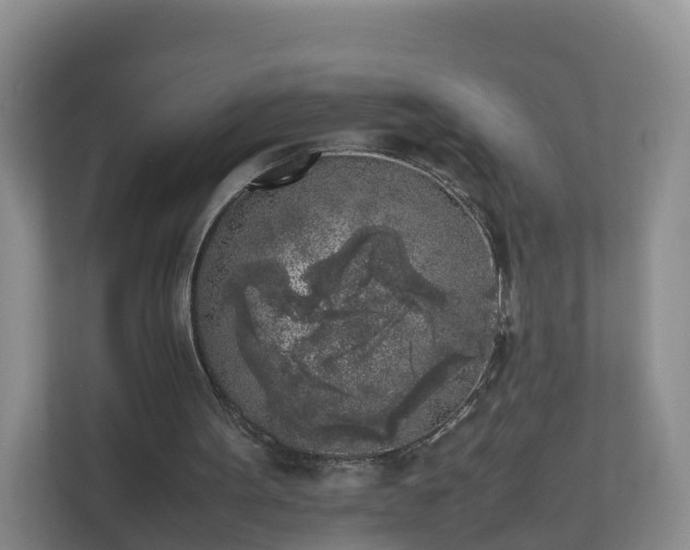 X0000111630099200907241058