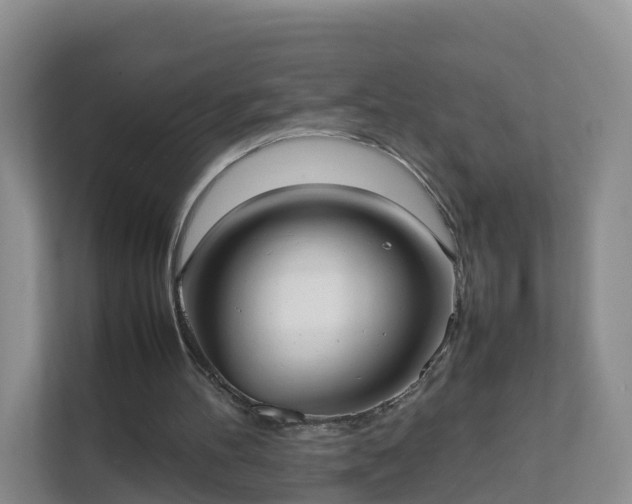 X0000111630100200907241058