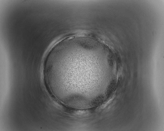 X0000111630101200907241058