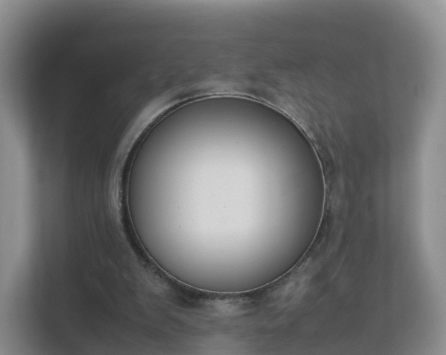 X0000111630103200907241058