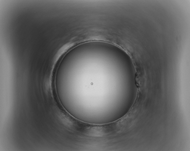 X0000111630104200907241058