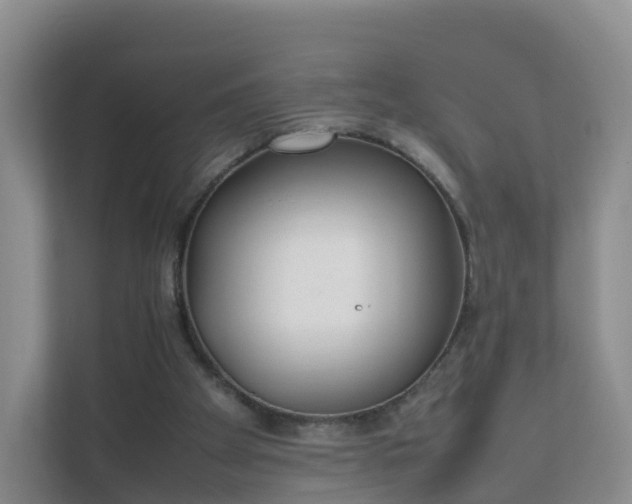 X0000111630105200907241058