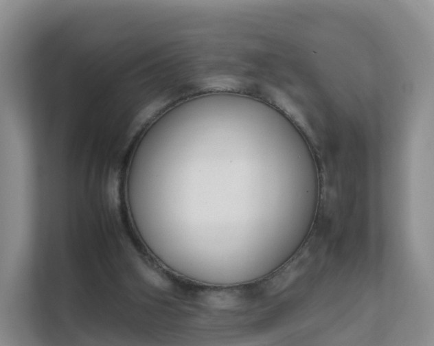 X0000111630106200907241058