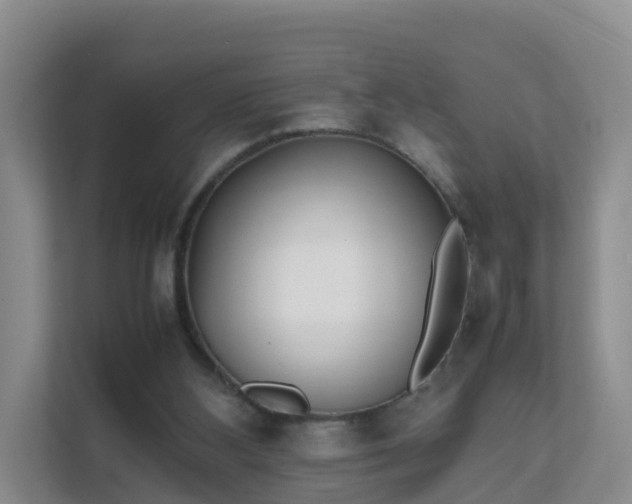 X0000111630108200907241058