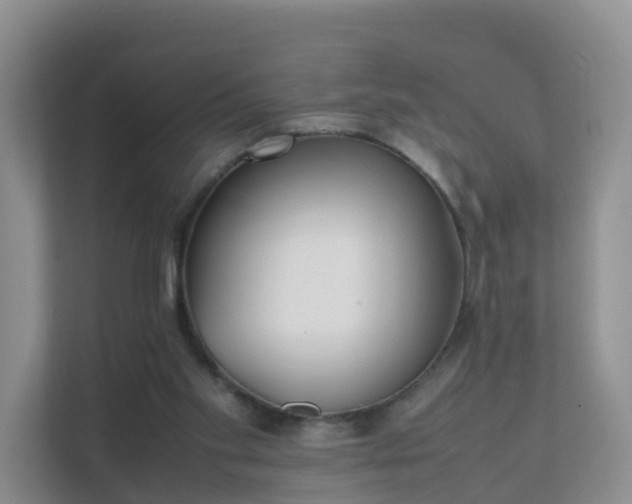 X0000111630109200907241058