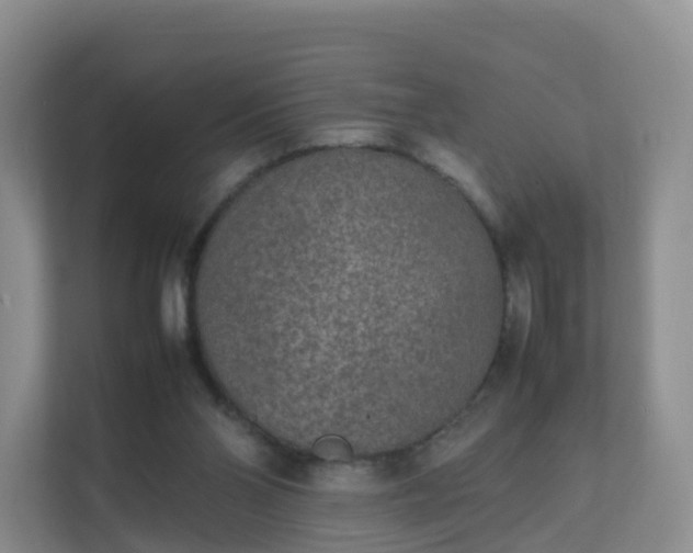 X0000111630110200907241058