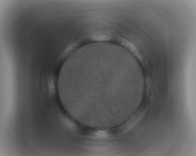 X0000111630114200907241058