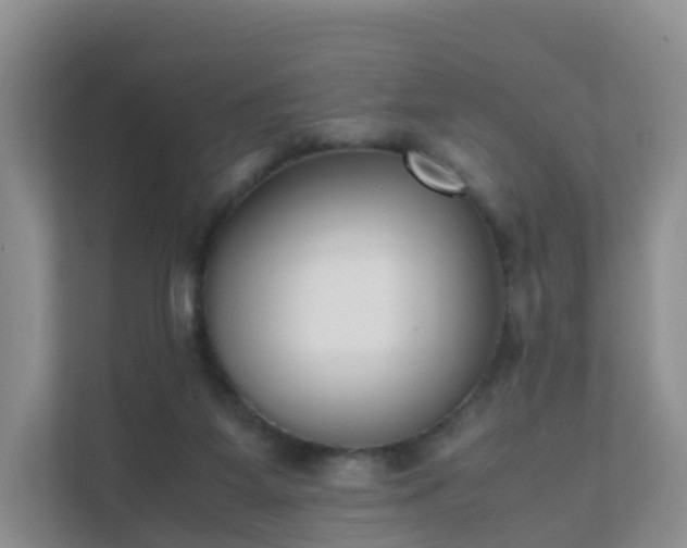 X0000111630115200907241058