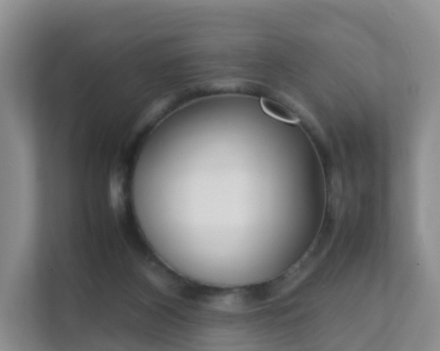 X0000111630116200907241058