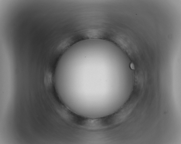 X0000111630117200907241058