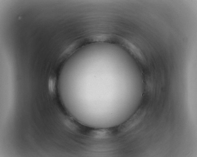 X0000111630118200907241058