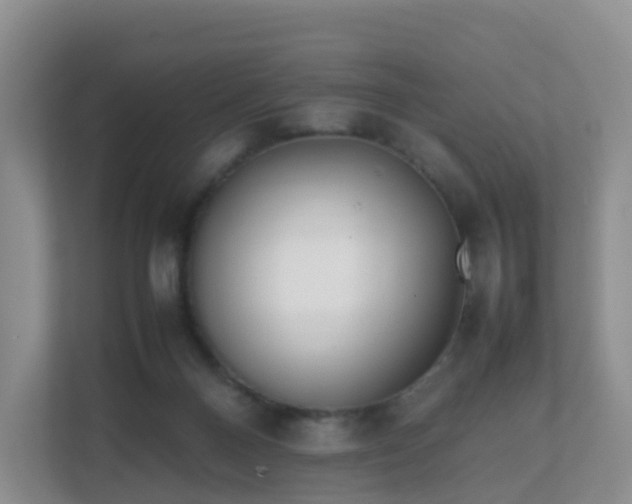 X0000111630120200907241058