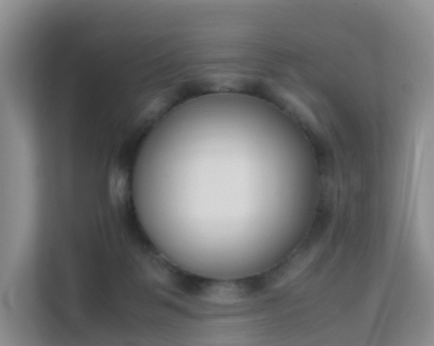 X0000111630123200907241058