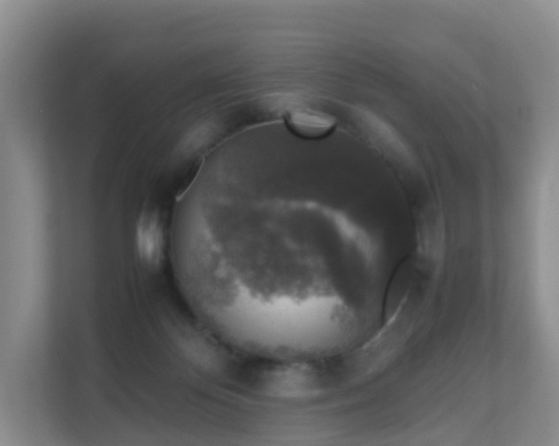 X0000111630124200907241058