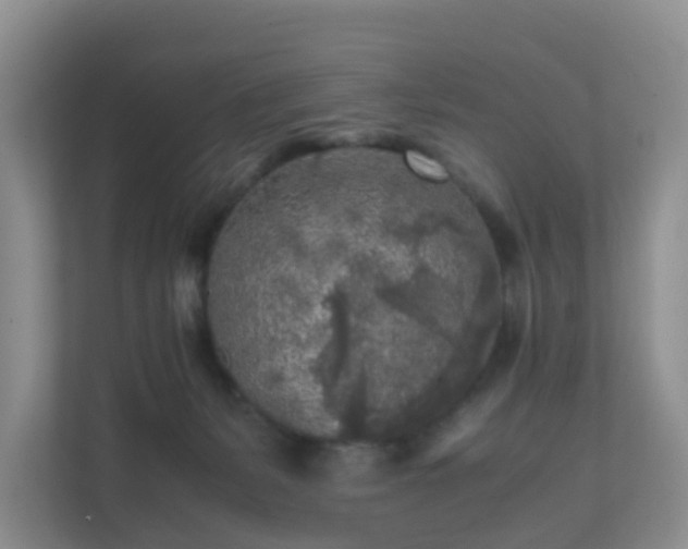 X0000111630127200907241058