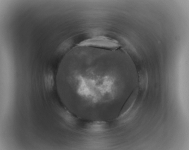 X0000111630128200907241058