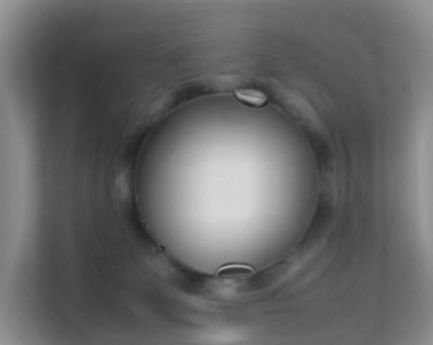 X0000111630131200907241058