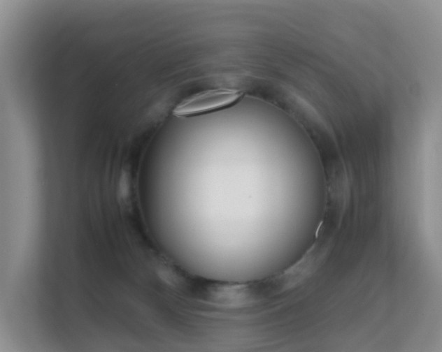 X0000111630132200907241058