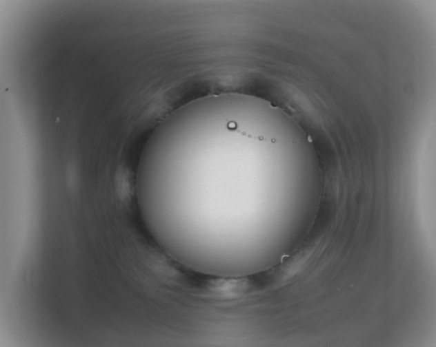 X0000111630135200907241058