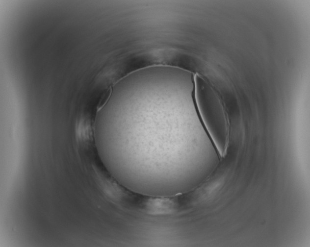 X0000111630137200907241058