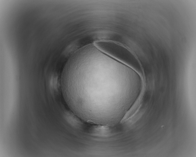 X0000111630140200907241058