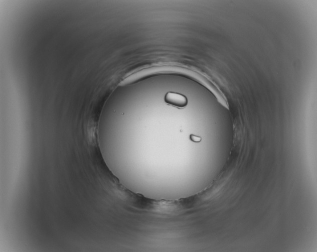 X0000111630141200907241058