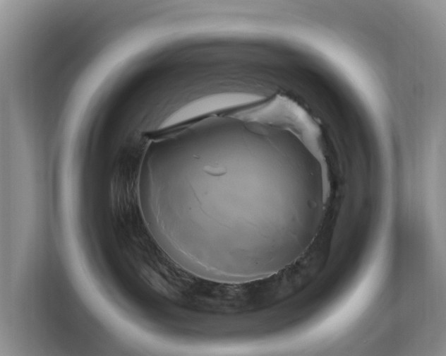 X0000111630143200907241058