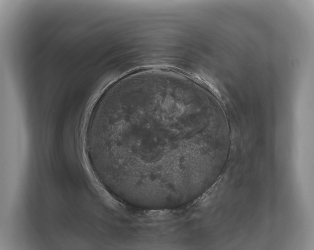 X0000111630145200907241057