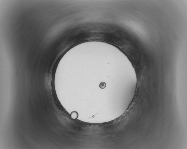 X0000111630146200907241057