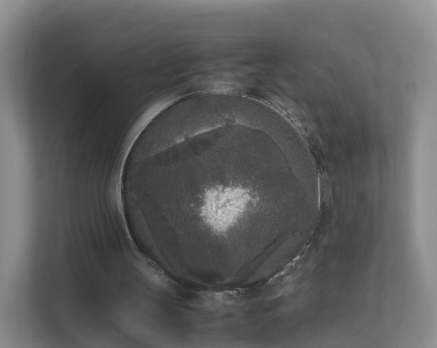 X0000111630147200907241057